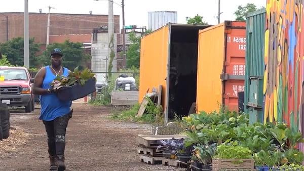 Chicago Urban Growers Collective video clip